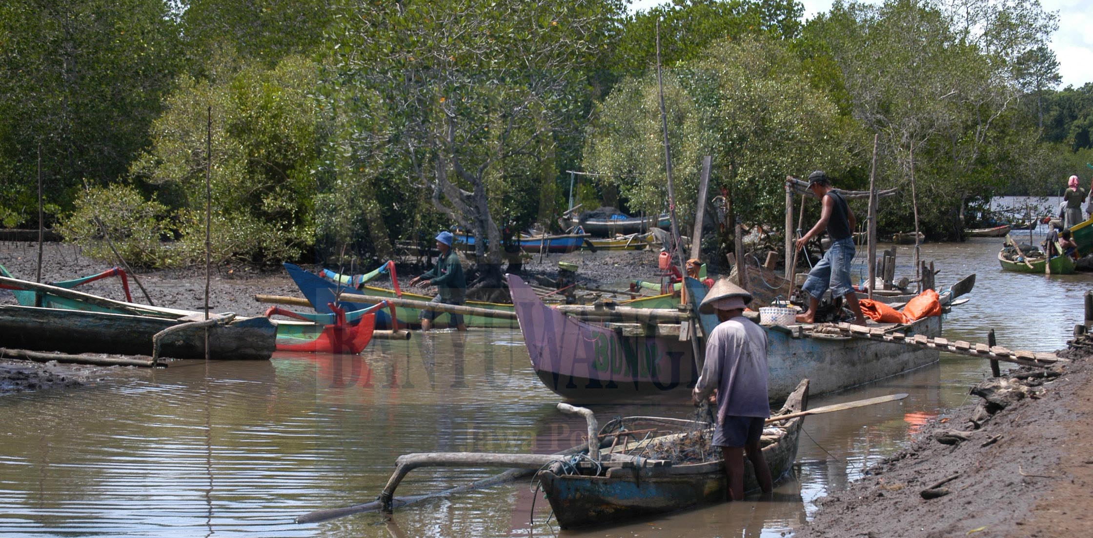 desa-wisata-mangrove-2.jpg